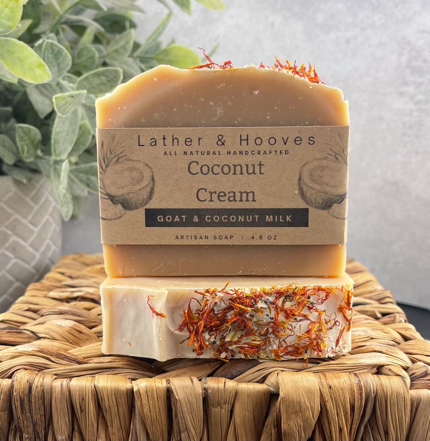 Coconut Cream - Soft, creamy, and naturally tropical — pure coconut bliss.