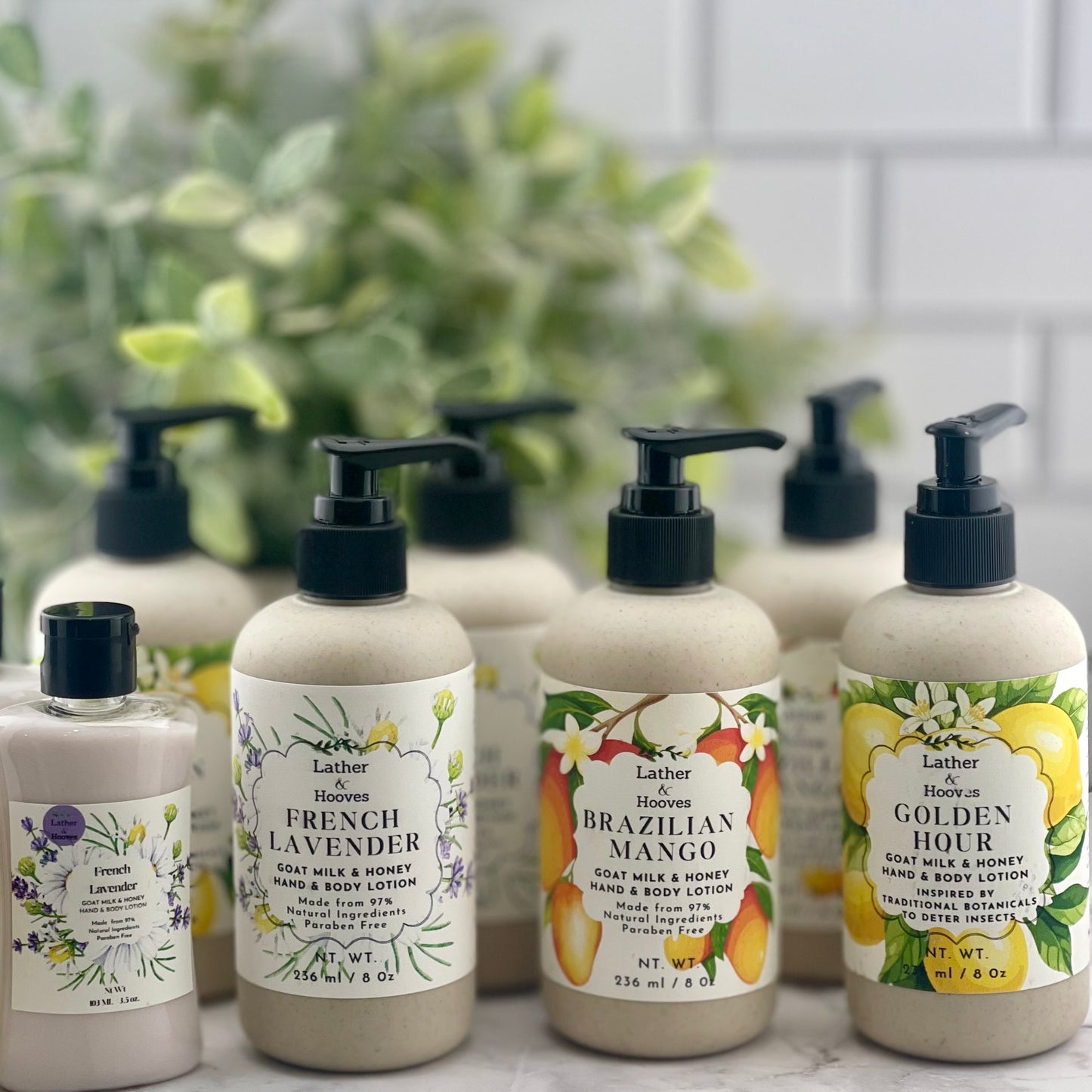8 ounce - Hand and Body Goat Milk & Honey Lotion |