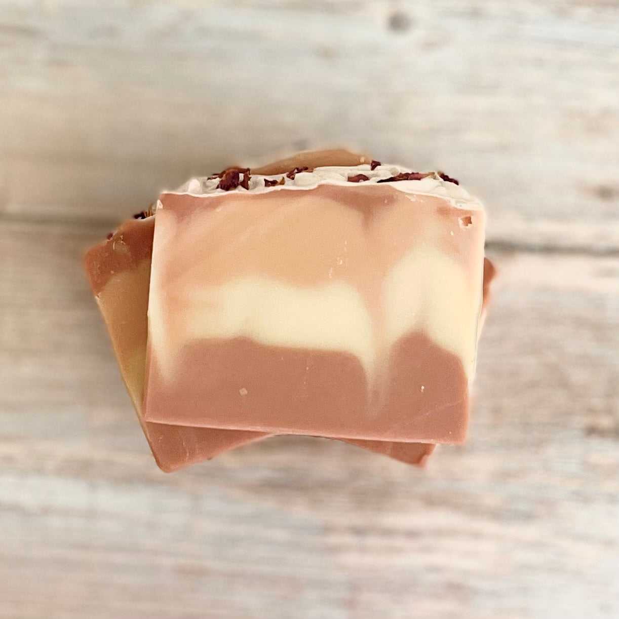 Creamy Rose
